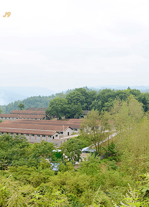 基地展示