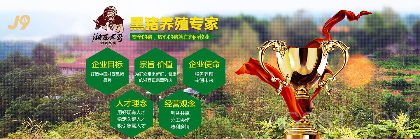 j9九游会官方登录
