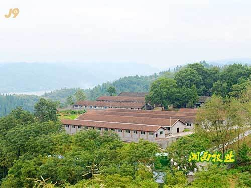 石屏县云南黑猪养殖产业园园区实景图